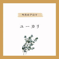 画像1514