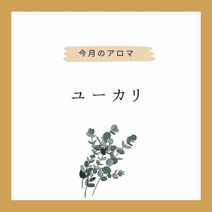 画像1514