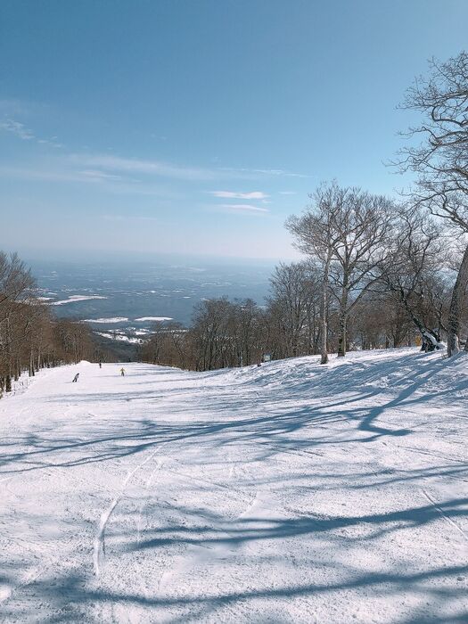 画像1531