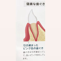 画像1578