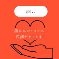画像1588