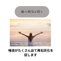 画像1595