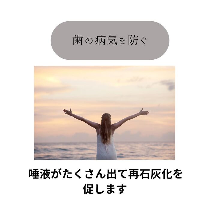 画像1595