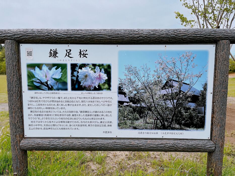 画像1890